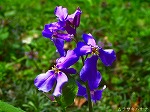 20070322 12.jpg